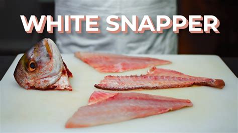 How to Fillet White Snapper - YouTube