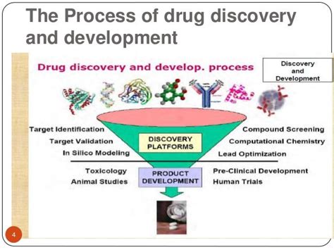 presentation on in silico studies