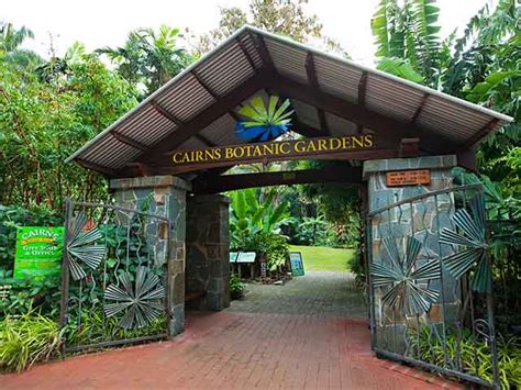 Top 5 Things to See and Do in Cairns Botanic Gardens