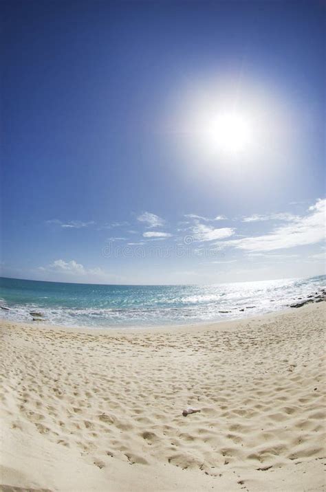 Sunshine at the Beach stock photo. Image of rays, footprints - 23142716