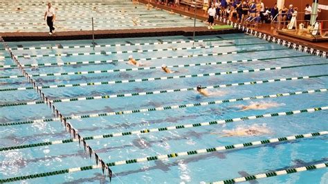 Cleveland State swimming coach, two athletic administrators resign ...