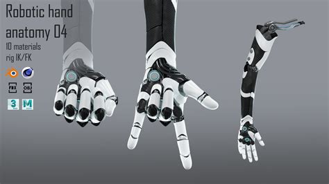 3D model Robotic hand anatomy 04 VR / AR / low-poly | CGTrader