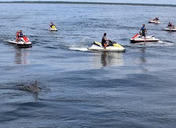 North Myrtle Beach Aquatic & Fitness Center | Blog Dandk