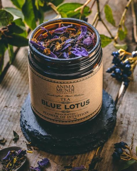 BLUE LOTUS: Flower of Intuition Tea in 2021 | Blue lotus, Lotus tea, Magic herbs