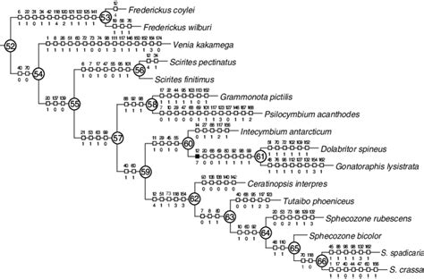 Continuation of Fig. 5, showing clade 52 | Download Scientific Diagram