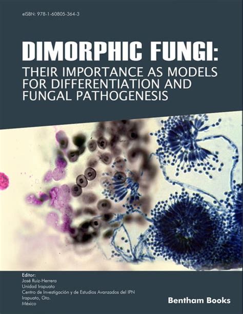 Dimorphic Fungi : Their importance as Models for Differentiation and Fungal Pathogenesis ...