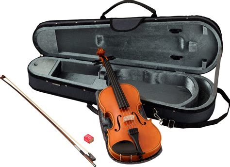 10 Best Violin Brands In 2024: Comprehensive Guide