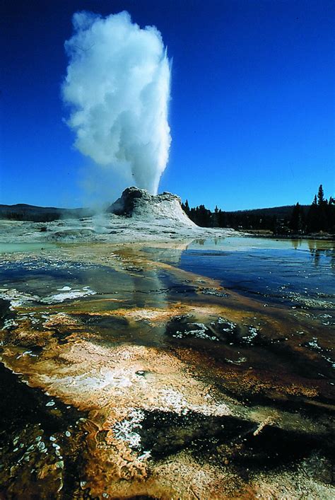 Quake in Alaska Changed Yellowstone Geysers – UNews Archive