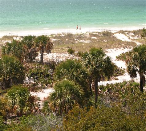 Caladesi Island Beach | As one of the few completely natural… | Flickr