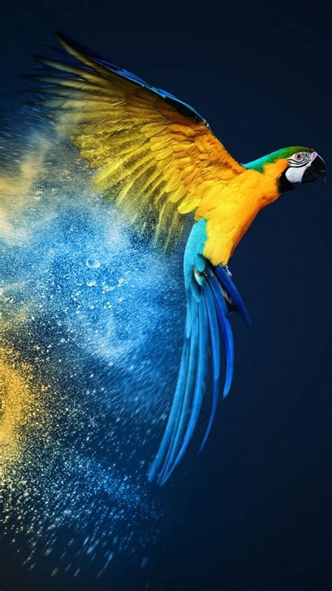 Parrot iPhone Wallpapers - Top Free Parrot iPhone Backgrounds - WallpaperAccess