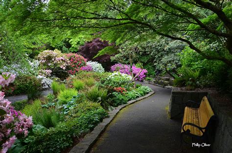 Crystal Springs Rhododendron Garden (Portland, Oregon)