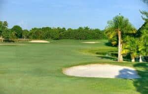 The Top South Florida Golf Courses: Everglade Golf Adventures