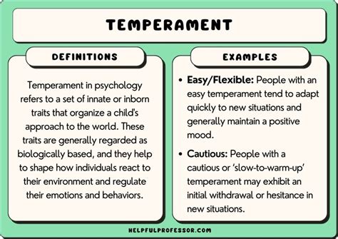 25 Temperament Examples (2024)