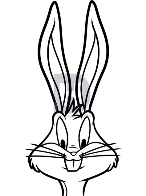 Bunny Face Drawing | Free download on ClipArtMag