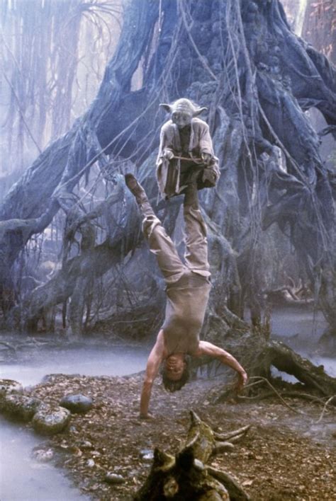 luke skywalker with yoda | Image of Luke Skywalker (Luke training with ...