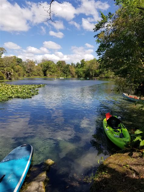 Are Dogs Allowed At Wekiva Springs