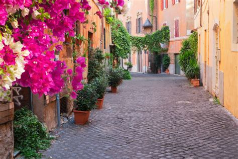 Best Trastevere Stock Photos, Pictures & Royalty-Free Images - iStock