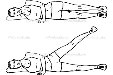 Lying Side Leg Lifts / Lateral Raises / Hip Abductors / Adductors – WorkoutLabs Exercise Guide