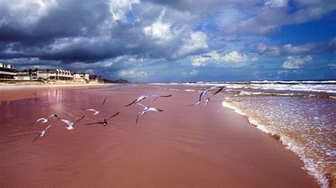 New Smyrna Beach Shark Attacks 2024 - Hedi Raeann