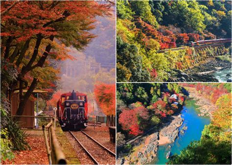 All Aboard the Sagano Romantic Train: Guide to Kyoto's Famous Sightseeing Ride! | LIVE JAPAN ...