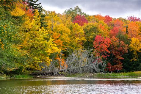 DSC_1143 | Fall Foliage Old Forge, NY | Dave Smith | Flickr