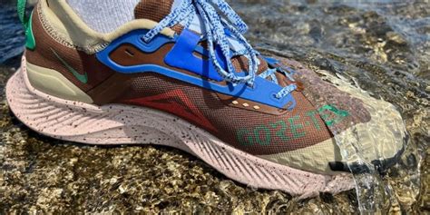 Review: Nike Pegasus Trail 3 Gore-Tex Waterproof Trail Running Shoes - Business News