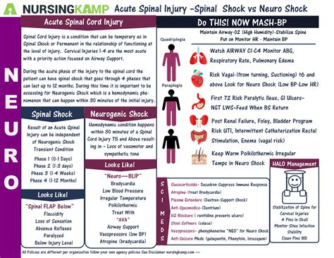 Pin on Neuro Medical Surgical Nursing School Brain Sheets Study Sheets