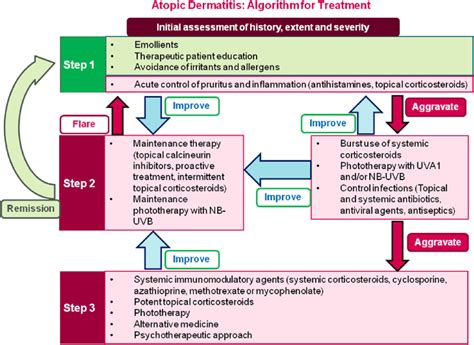 Algorithm of treatment for atopic dermatitis. NB ¼ narrowband ...