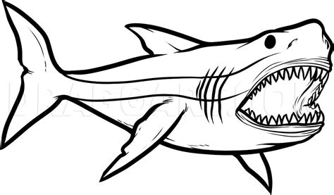 How To Draw Megalodon, Megalodon Shark, Step by Step, Drawing Guide, by ...