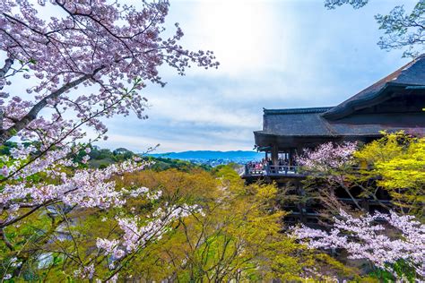 Travel Note of Kyoto for Cherry Blossoms Part 7: Nijo Castleand ...