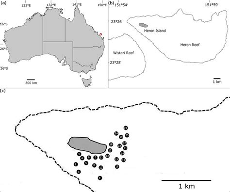 (A) Map of Australia, with the position of Heron Island (red circle);... | Download Scientific ...