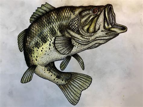 Almost done with a largemouth bass painting. : Fishing