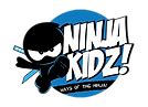 Ninja Kidz Web Game | Ninja Kidz Clubz