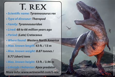 T Rex Dinosaur Facts, Pictures & Info: Meet The Real Tyrannosaurus Rex