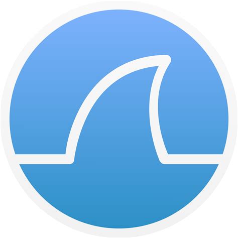 "wireshark alt" Icon - Download for free – Iconduck