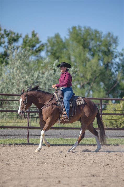 Ranch Riding Lowdown - Western Life Today