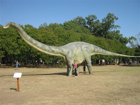 File:Diplodocus model.jpg - Wikimedia Commons