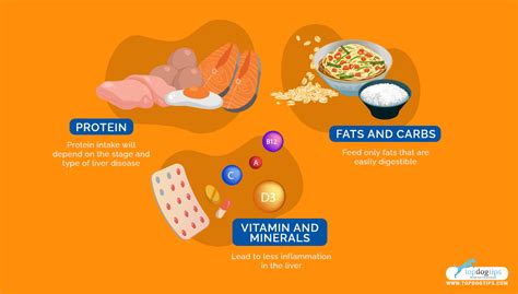 What Is The Best Diet For A Dog With Liver Disease