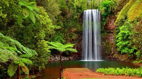 Tropical Waterfall Serenity - 4K Ultra HD Wallpaper