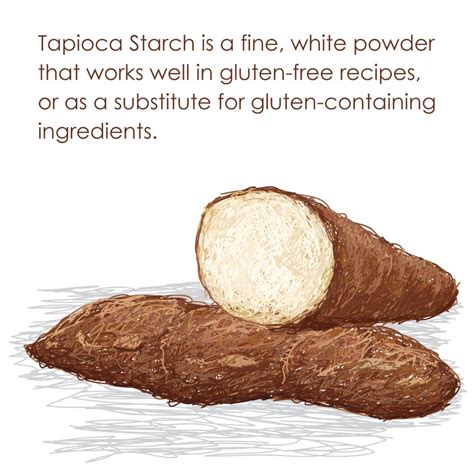 Tapioca Starch – Sirona Naturals