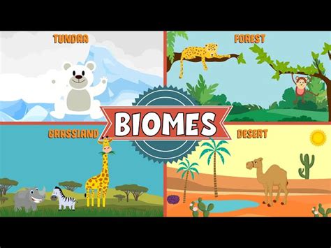 Science - Biomes of The World - Diff…: English ESL video lessons