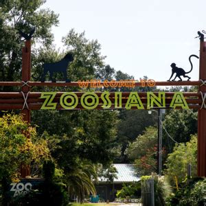 Zoosiana: Zoo of Acadiana | Broussard, Louisiana