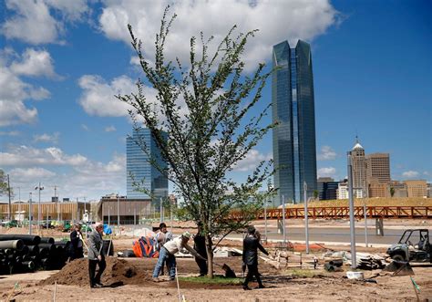 Oklahoma City bombing 'Survivor Tree' DNA to live on