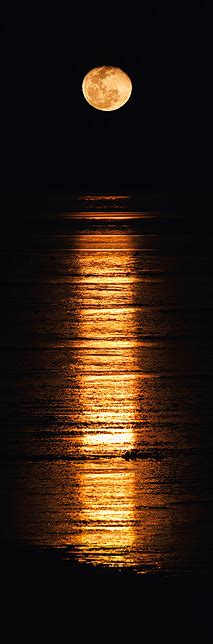 Stairway to the Moon - Wilderness Photography - Western Australia - Broome - - B J K - Images of ...