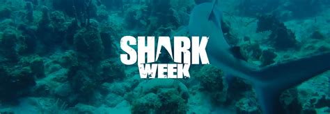 Discovery Channel Reveals Lineup For Shark Week | The Tracking Board