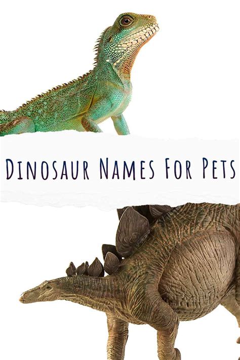 Over 140 Totally ROARsome Dinosaur Names For Pets