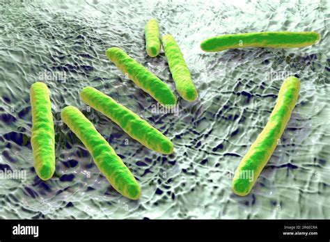 Bacterias de la tuberculosis. Ilustraciones informáticas de ...