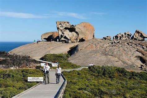 Kangaroo Island Odysseys (Kingscote, Australia): Hours, Address, Top-Rated Tour Reviews ...