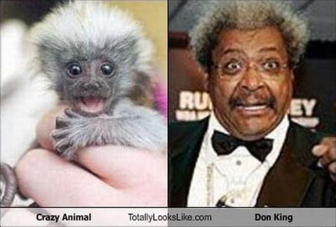 Totally Look Alikes Part II (67 pics)