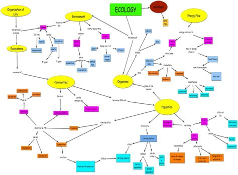 Concept Map - Ecology